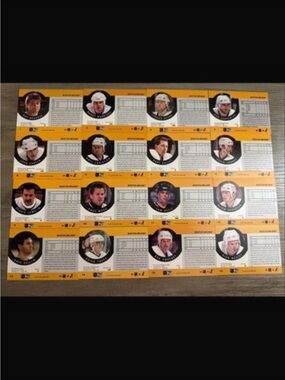 Boston Bruins 1990 Pro Ice Hockey Set of 16 Trading Cards